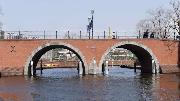 Spectacles bridge